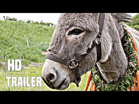 EO Trailer German Deutsch (2022)