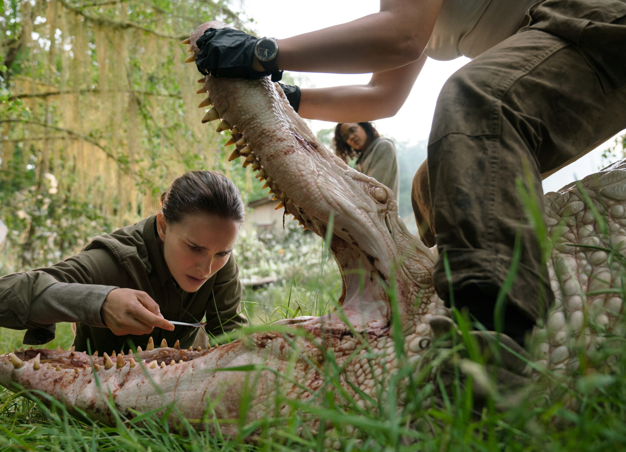 Natalie Portman blickt mit verängstigter Miene in ein Krokodilmaul, das von einer weiteren Person geöffnet wurde. Science-Fiction-Film Tipps