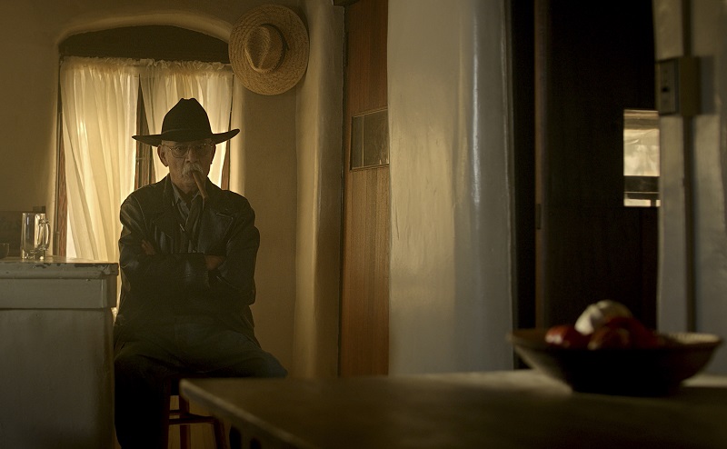 Der Sheriff mit dem Cowboyhut hockt still in der Ecke einer Küche - Neu bei Prime im August 2020