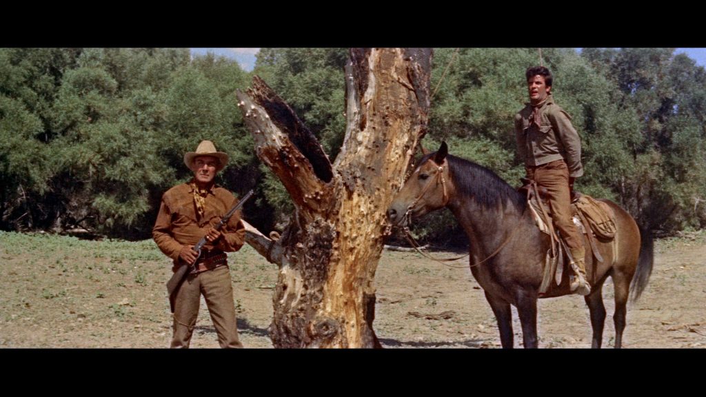 Ben Brigade (Randolph Scott, links) und Billy John (James Best, rechts) am Galgenbaum ©Koch Films