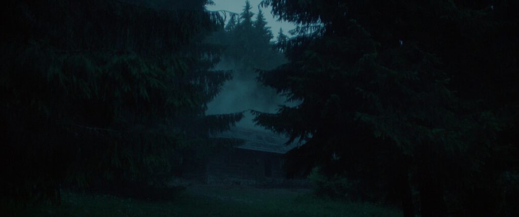 In Nightsiren zeigt sich eine verfallene Holzhütte im nebelverhangenen Wald zwischen den Baumkronen.