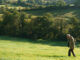 Harold Fry, gespielt von Jim Broadbent, zieht auf seinem fast 800 Kilometer langen Weg auch durch schöne Landschaften.