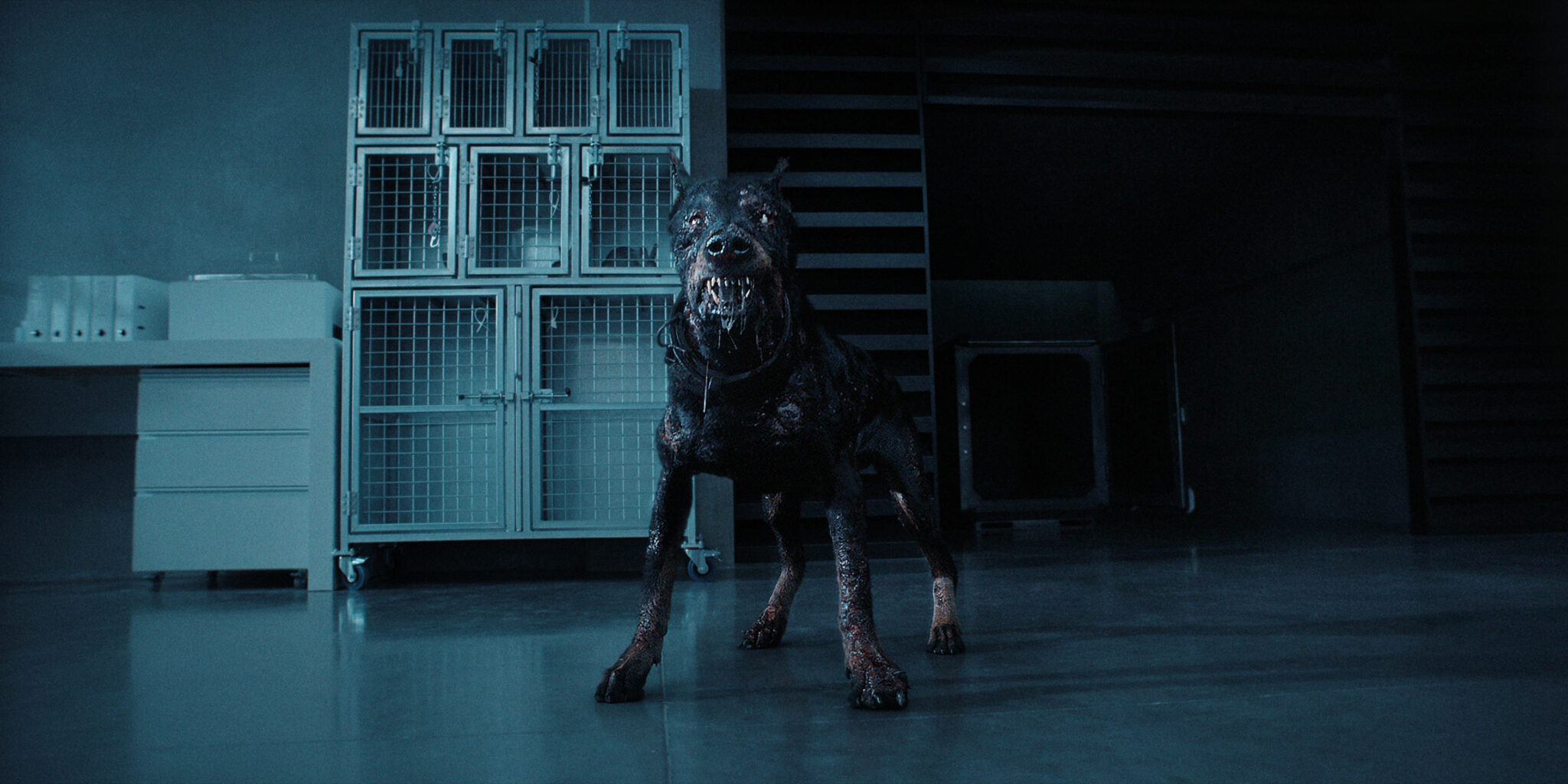 Ein mutierter Schäferhund steht bedrohlich in der Mitte einer düsteren, sterilen Forschungseinrichtung - Resident Evil 2022